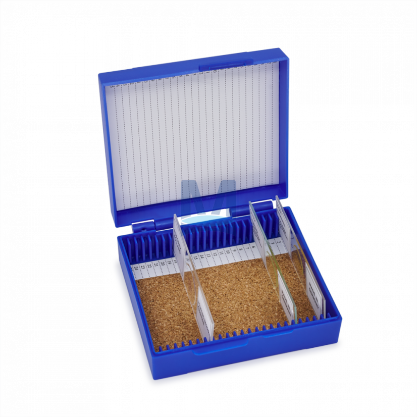 Plastový box na 25 ks mikroskopických preparátů, modrý