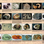 Ikona geologie obrazy