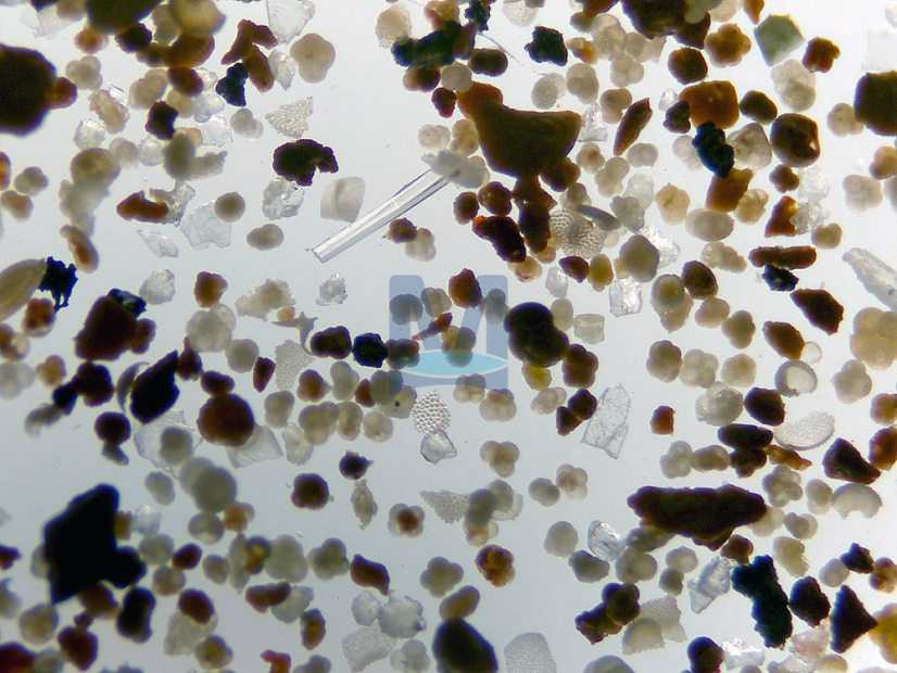 Rozsivky: zvětšení objektivu 4×, horní osvětlení