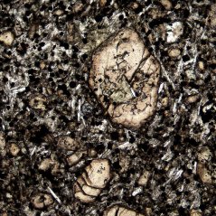 Výbrus čediče v rovnoběžných nikolech