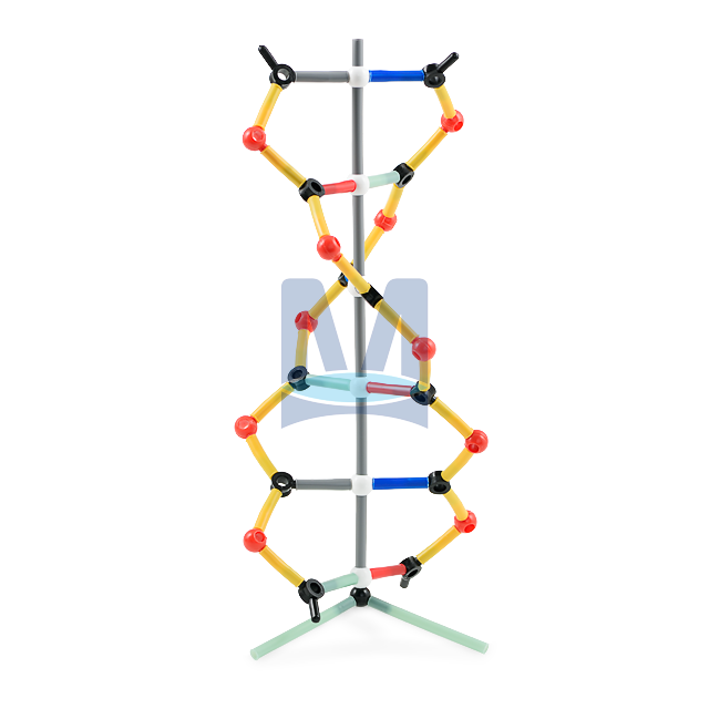 DNA malá souprava, Orbit