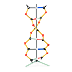 DNA malá souprava, Orbit