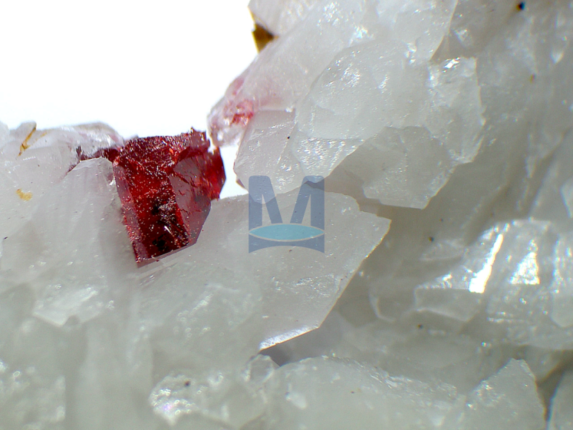 Rumělka: zvětšení objektivu 1×, horní osvětlení