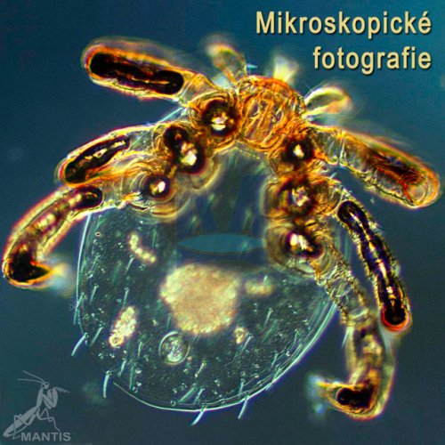 Mikroskopické fotografie na CD