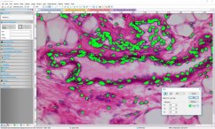 ImageFocus Alpha - pracovní plocha