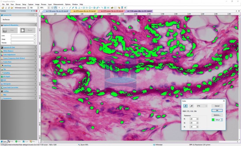 ImageFocus Alpha - pracovní plocha