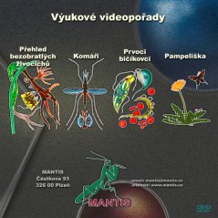Přehled bezobratlých živočichů, komáři, prvoci - bičíkovci, pampeliška