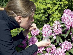 Žákovská souprava biologie, sada pro třídu