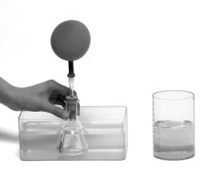 Základy přírodovědy - fyzika a biologie