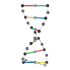 Ikona zometool-dna
