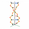 DNA malá souprava, Orbit