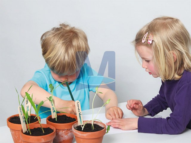 Anna a Leon experimentují – příroda a životní prostředí