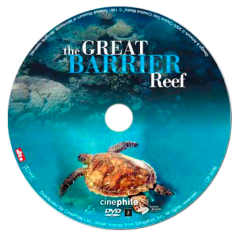 Velký bariérový útes