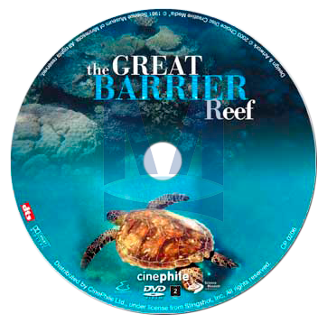 Velký bariérový útes Velký bariérový útes