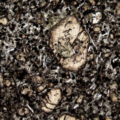 Výbrus čediče v rovnoběžných nikolech