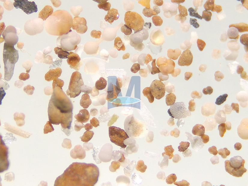 Rozsivky: zvětšení objektivu 4×, spodní osvětlení