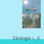 Ikona ekologie DVD