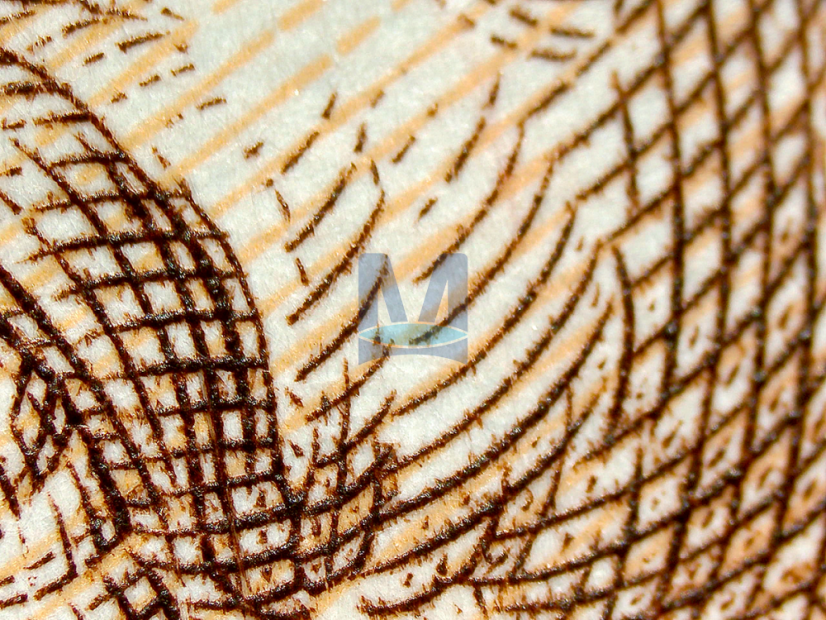 Zvětšení objektivu 2×