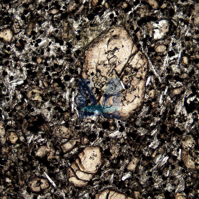 Výbrus čediče v rovnoběžných nikolech