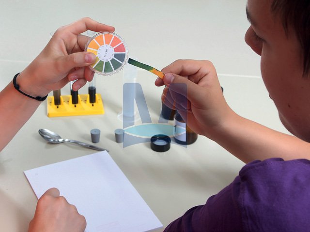 Žákovská souprava rostliny, živočichové a biotopy