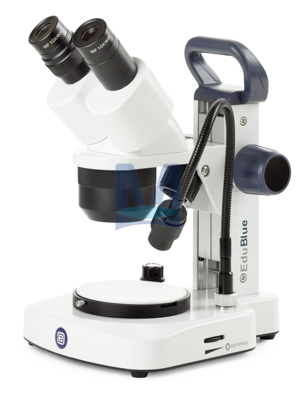 Stereomikroskop EduBlue 013-EVO