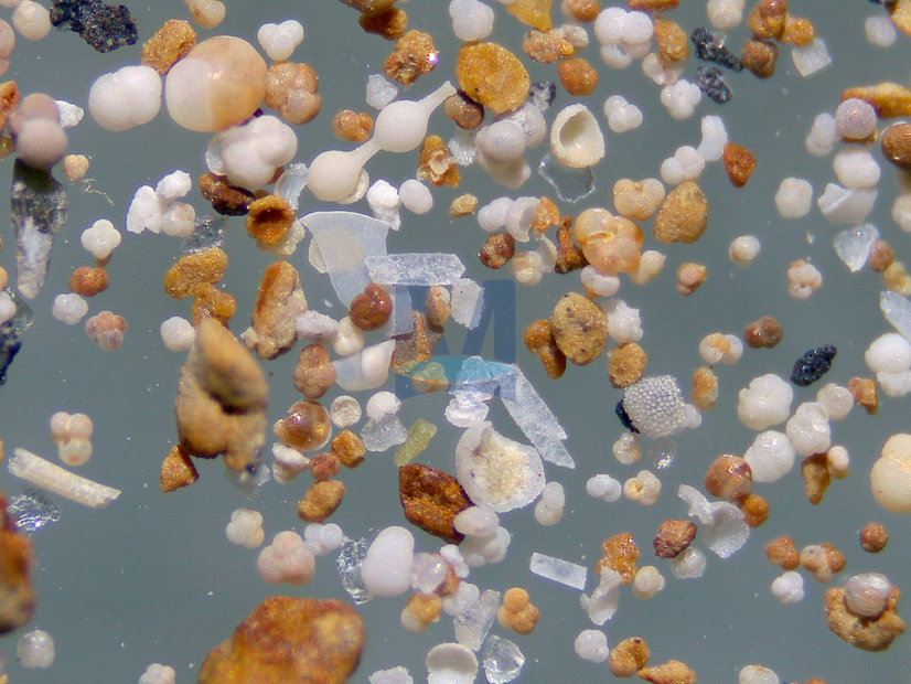 Rozsivky: zvětšení objektivu 4×, spodní a horní osvětlení