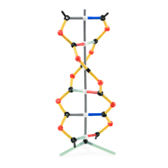 DNA malá souprava, Orbit
